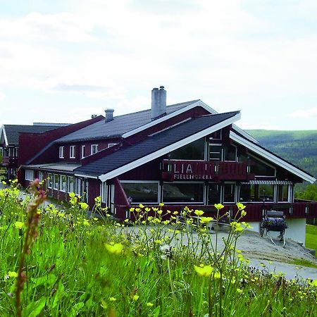 Lia Fjellhotell Geilo Exterior photo